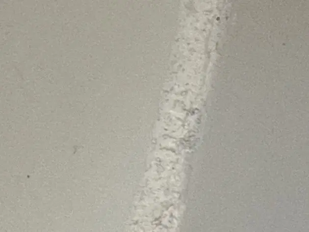 Close-up of a foundation crack and repair work in a New Jersey home.