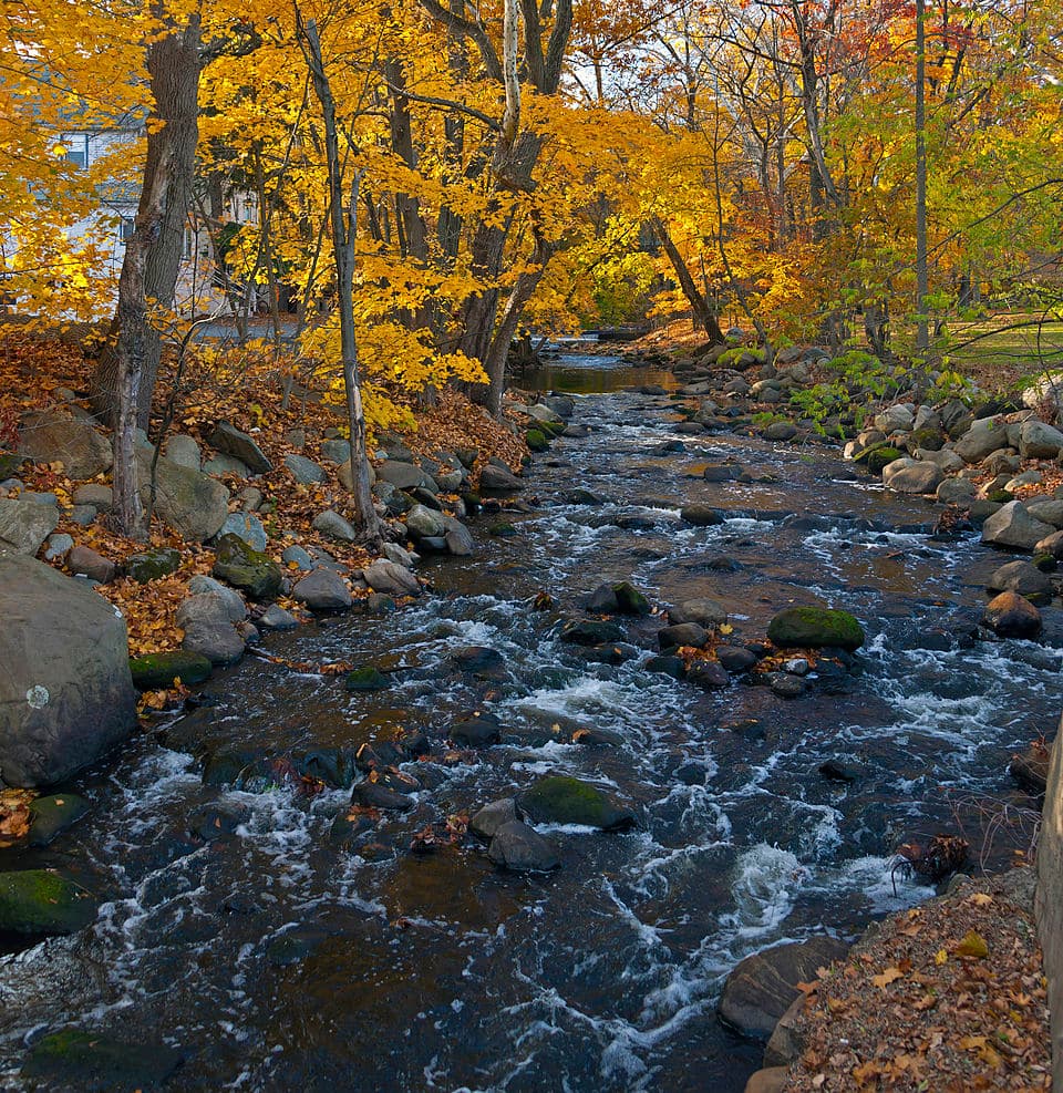 Autumn scene in Ho-Ho-Kus, NJ, featuring a flowing stream surrounded by colorful fall foliage and rocky banks, highlighting natural beauty relevant to local home moisture concerns.