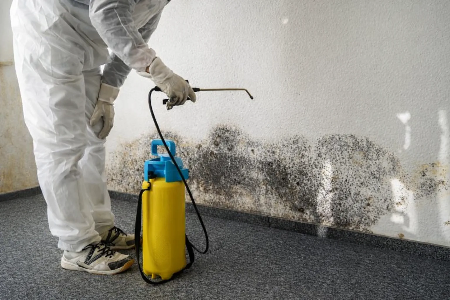 Mold remediation specialist in protective suit spraying black mold on basement wall.