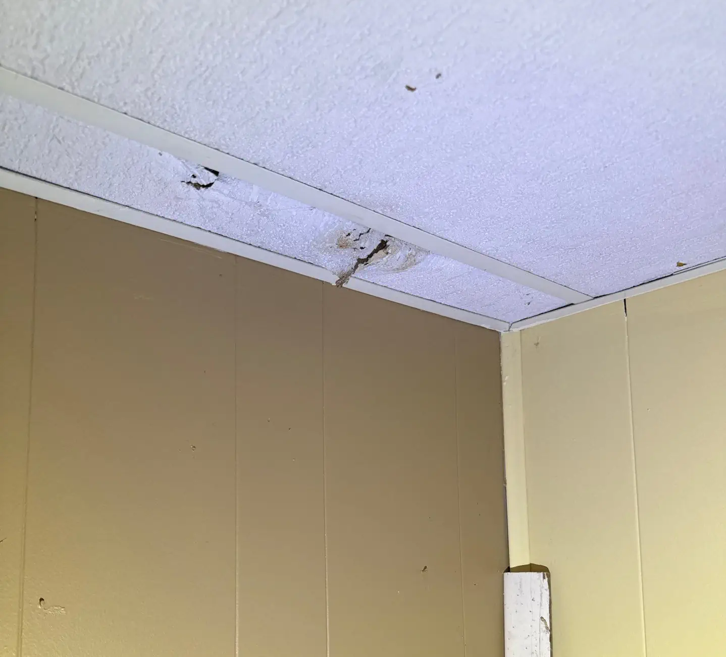 Ceiling damage with mold growth in a basement corner, highlighting the need for mold inspection and remediation services in Hawthorne.