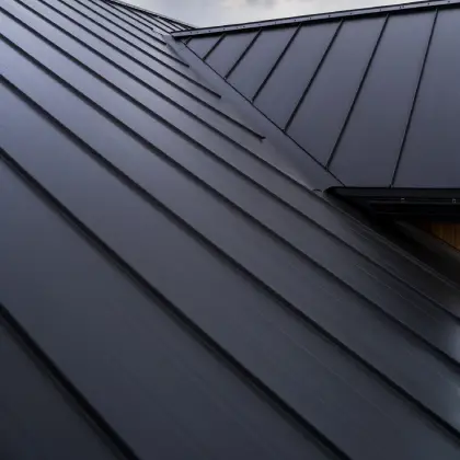 Metal Roof Cleaning