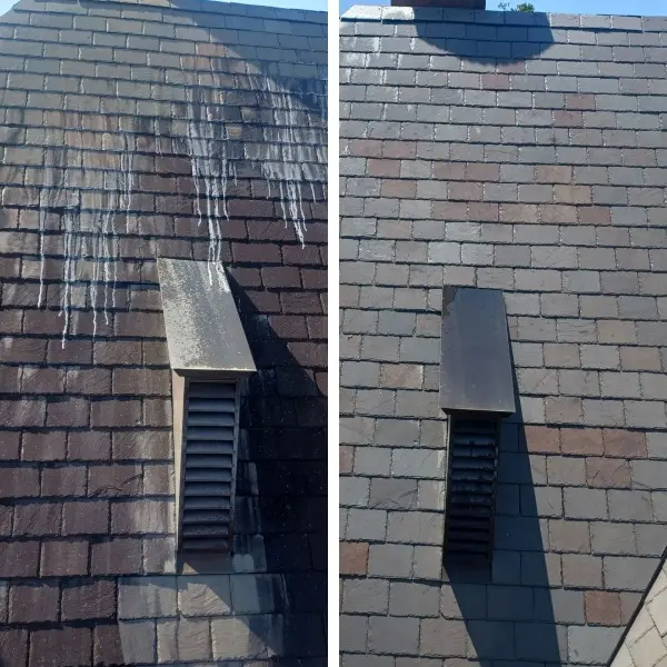 Pressure Washing Garland TX