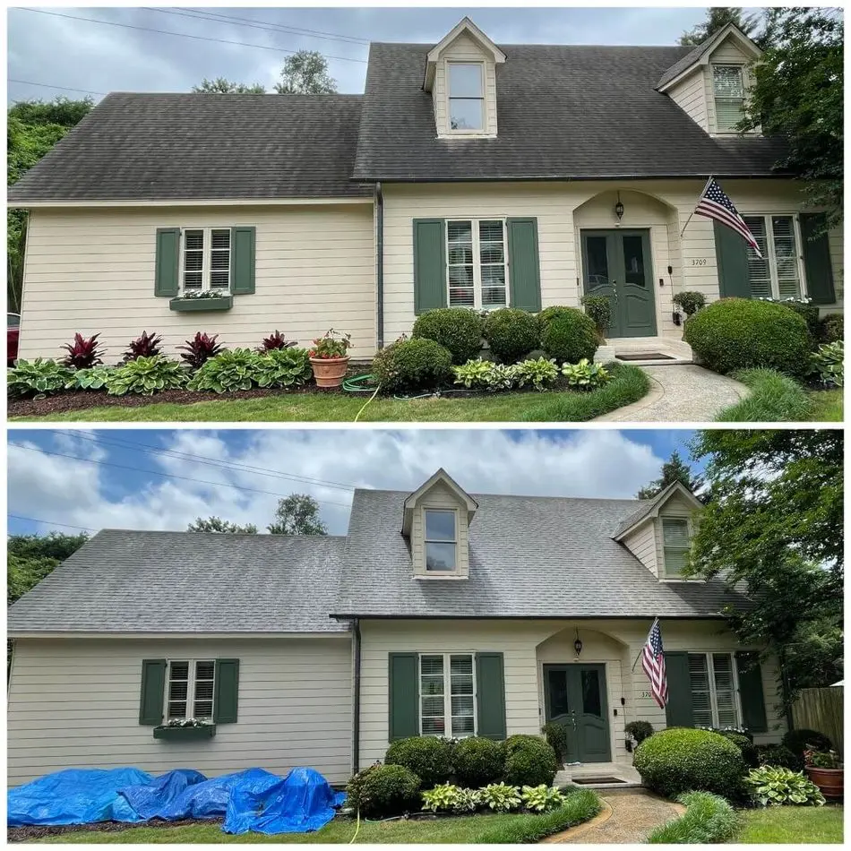 Roof Cleaning DeSoto County