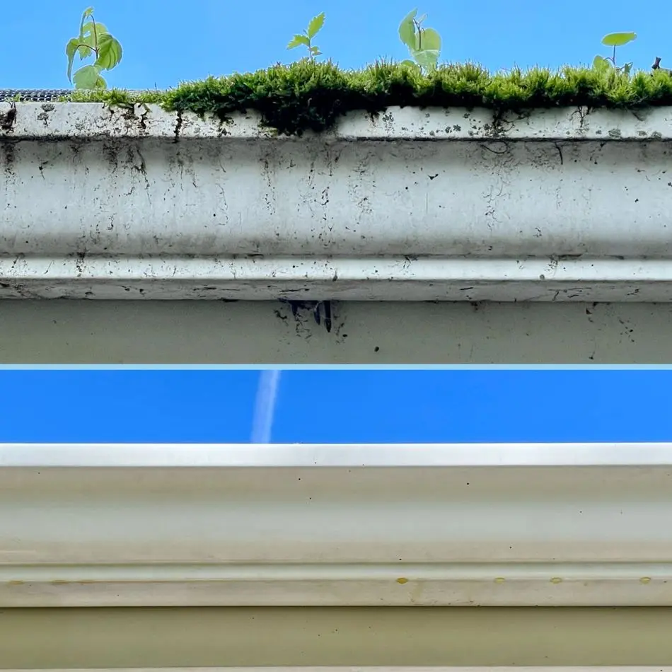Gutter Cleaning DeSoto County