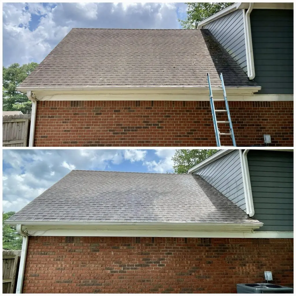 Roof Cleaning DeSoto County MS