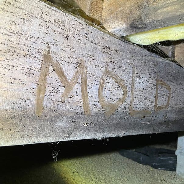 Mold growth on crawl space wood joist requiring soda blasting remediation