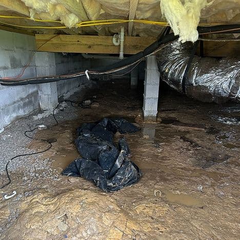 Moisture Damage in crawl space