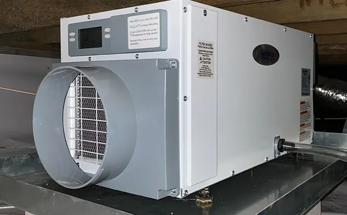 Use a Dehumidifier