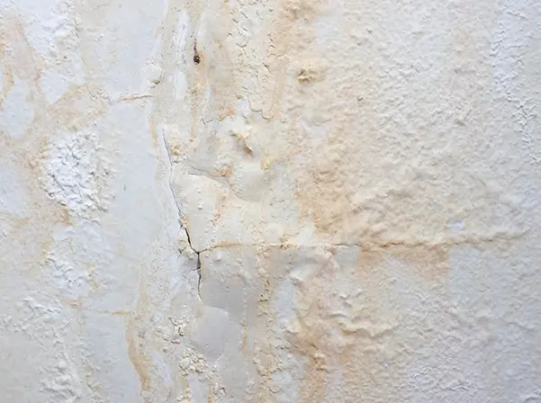 moisture damage wall