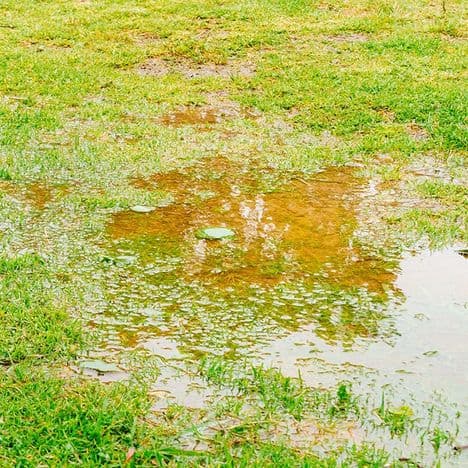 Water pooling around the foundation