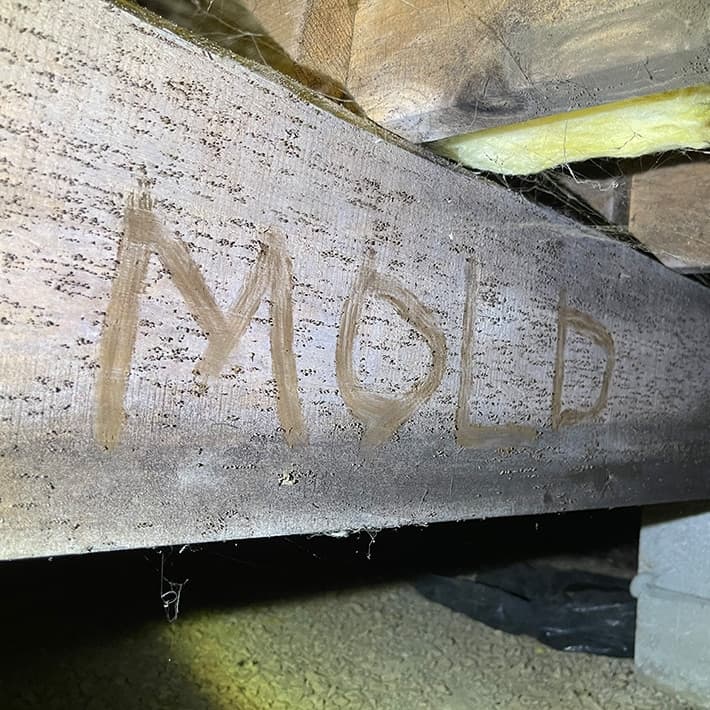 Moldy crawl space