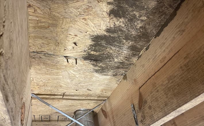 Common Problems in crawl space