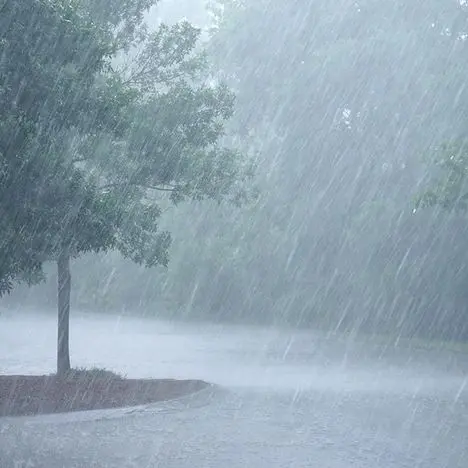 Heavy Rain