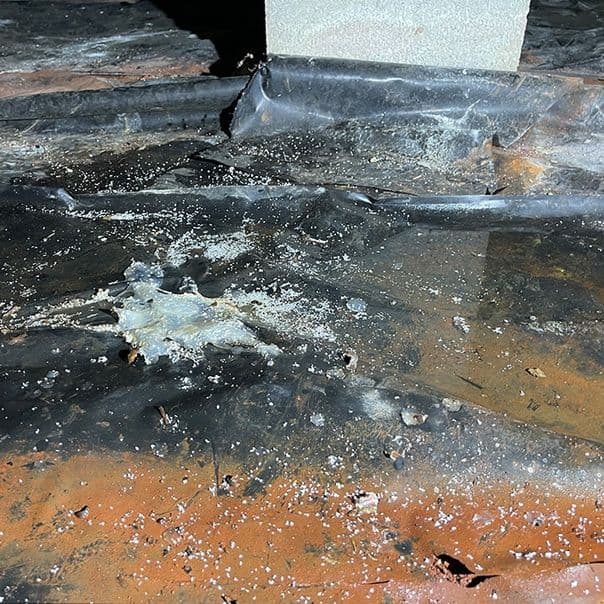 Humidity and Condensation