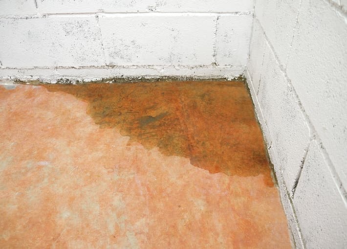 Common Basement Issues