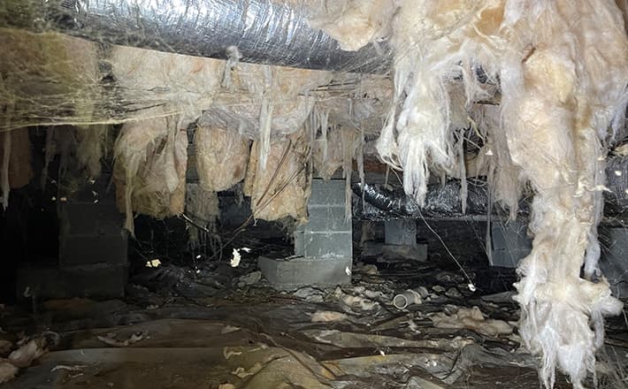A wet and dirty crawl space