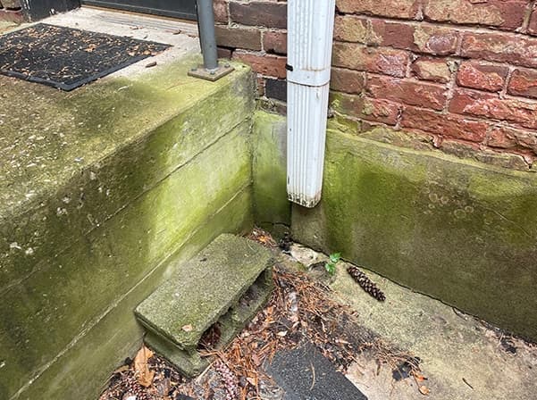 drain spout outside