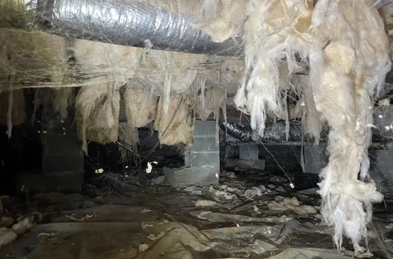 Damaged crawl space insulation and joists showing signs of moisture and mold buildup.