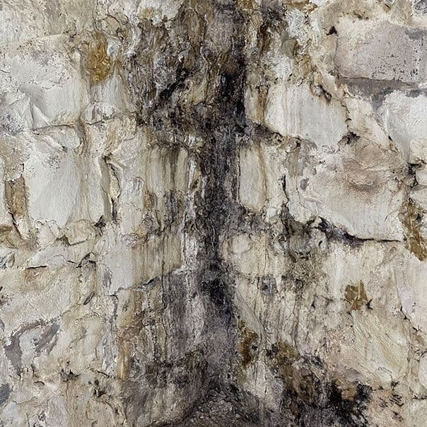 Mold in crawl space