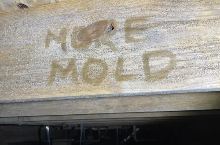 Moldy joist in crawl space