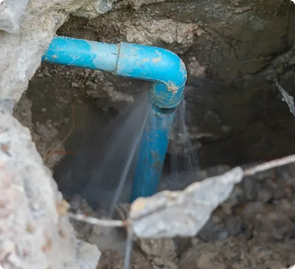 Inspect for Leaks and Plumbing Issues