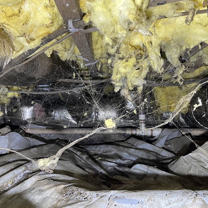 Health Risks of a dirty crawl space