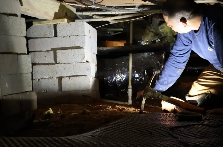 Early Detection Protect Your Home by Spotting Crawl Space Foundation Issues Before They Get Worse