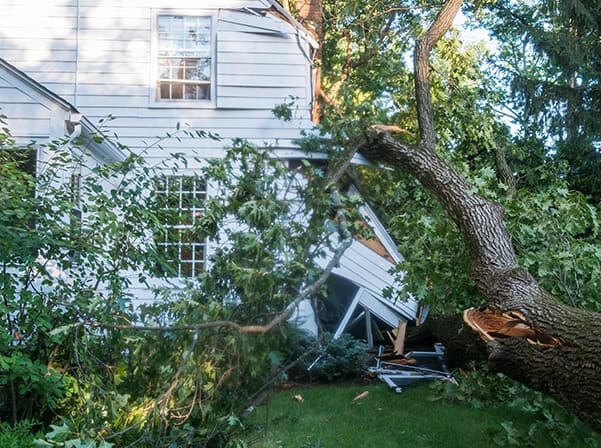 A large tree that has fallen on a home causing damage