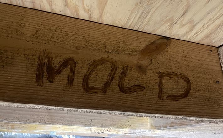 Choose Soda Blasting for Crawl Space Mold Removal
