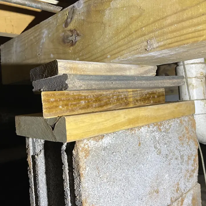 Common Crawl Space Problems in Bowling Green