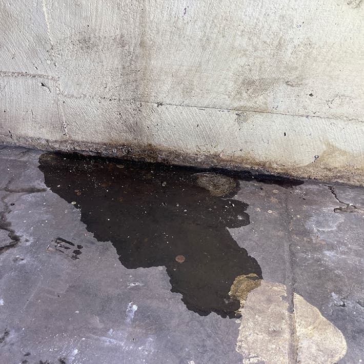 Water Intrusion & Dampness