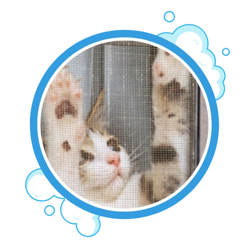Pet-Resistant Mesh Screens