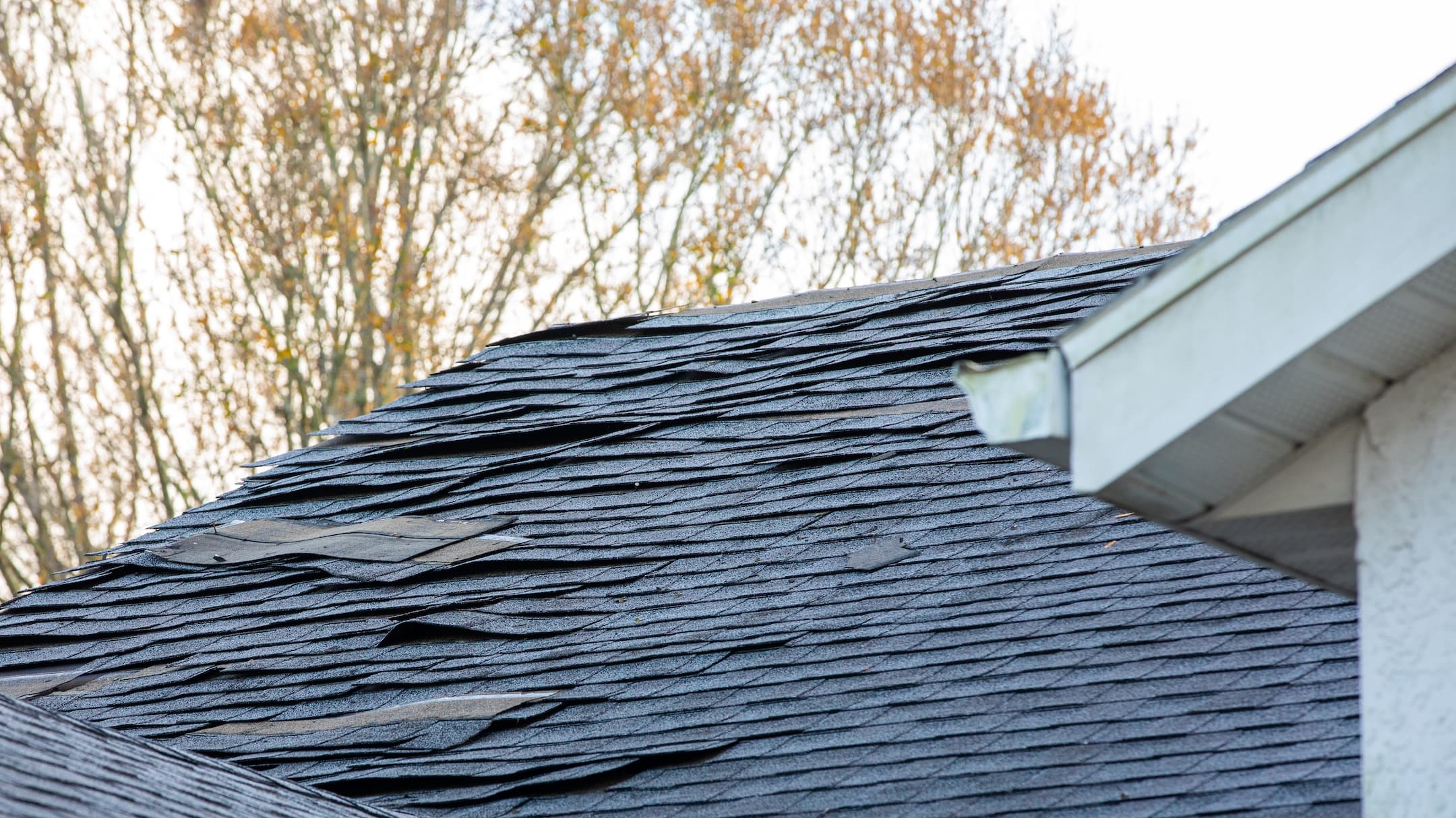storm damage roof