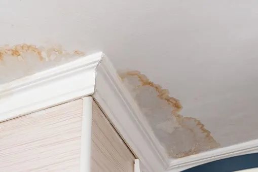 Leak Detection Savannah, Leak Detection Services