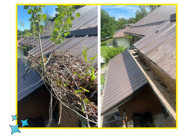 gutter cleaning Oshawa, ON