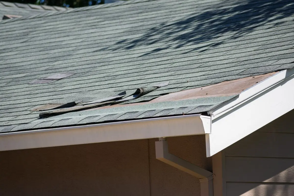 roof inspection midlothian Asphalt shingle roofing on a residential home with visible damage, curled edges, and exposed sheathing. Close up