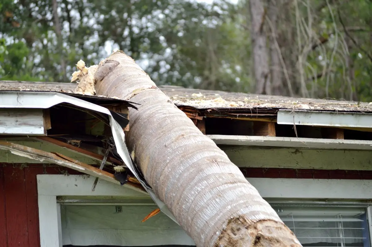 log on too of roof after storm roof storm damage waxahachie