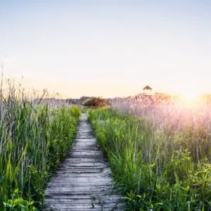 Caregiver Journey to Seek Balance