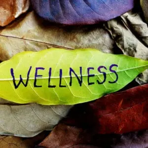 Human Resource Caregiver Programs