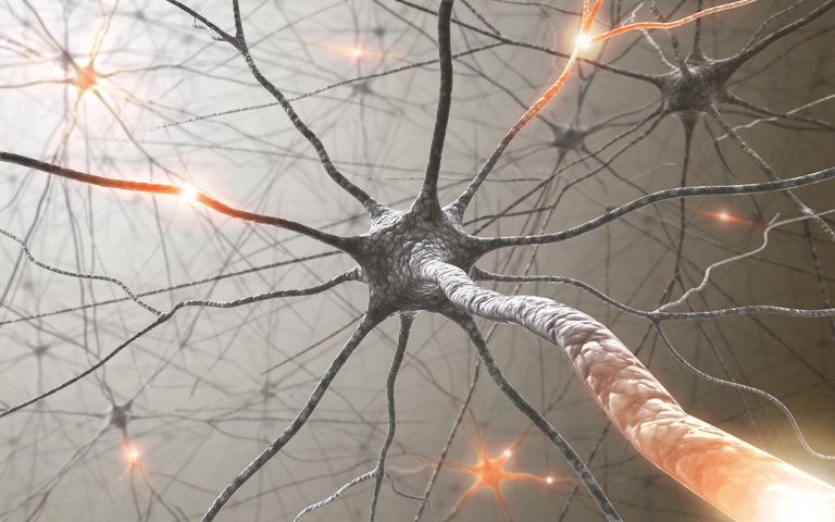 Inner workings of brain neurons light up, representing neurofeedback therapy