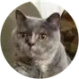 Katie Ward profile picture