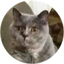 Katie Ward profile picture