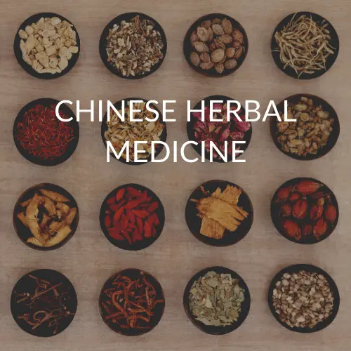 Explore Chinese herbal medicine