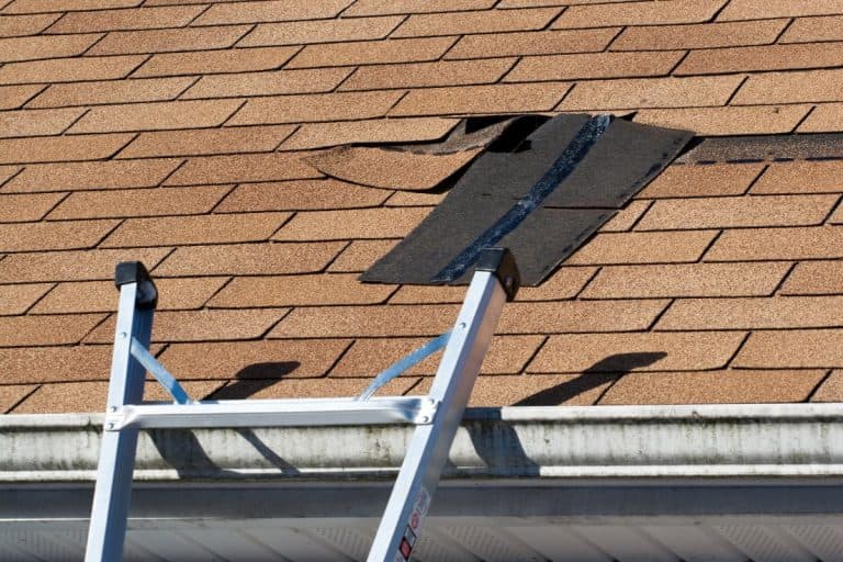 Damaged Roof Shingles Repair in Wayzata