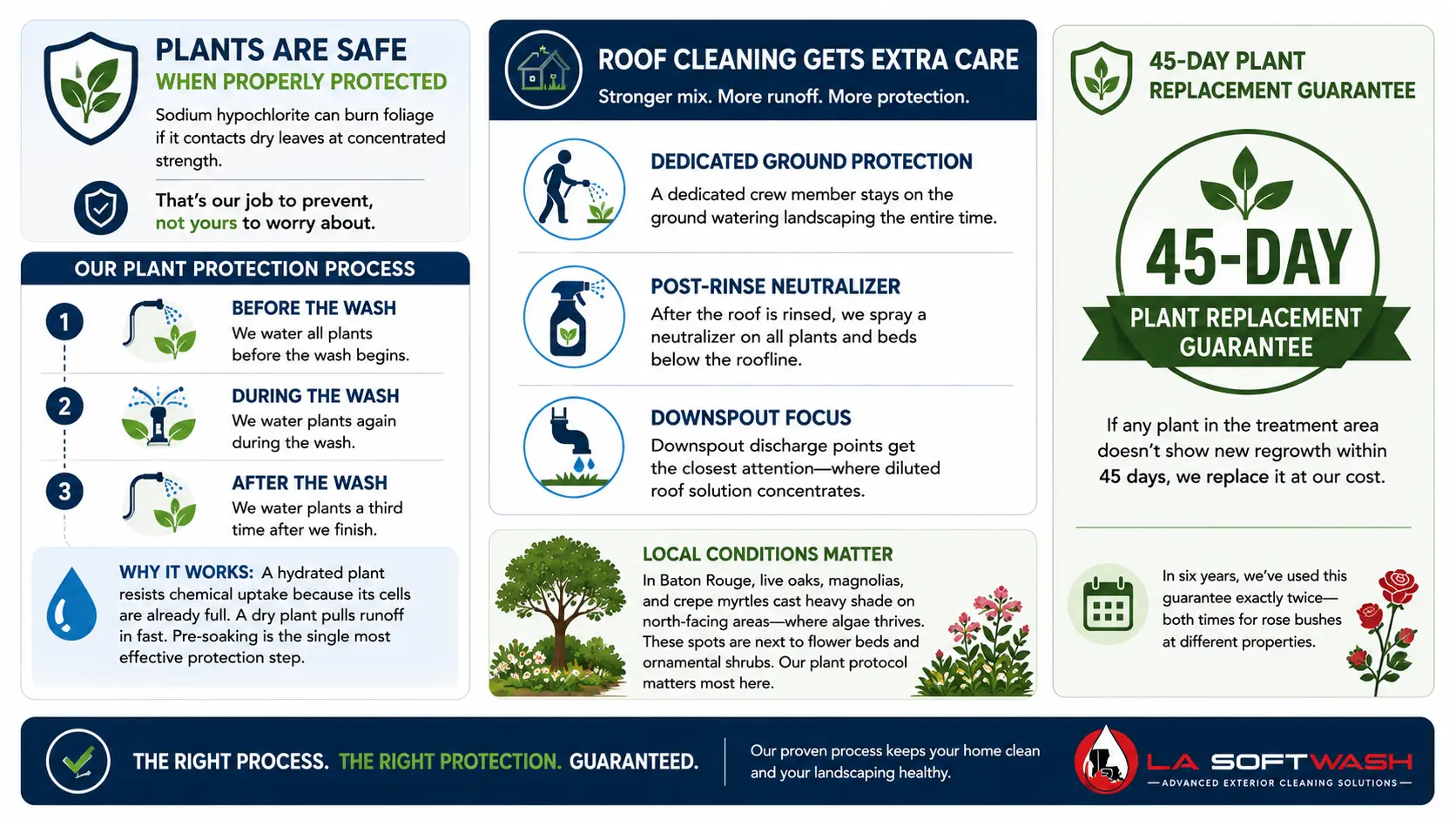 Soft washing plant protection process showing pre-watering, continuous watering, neutralizing, and the 45-day plant guarantee