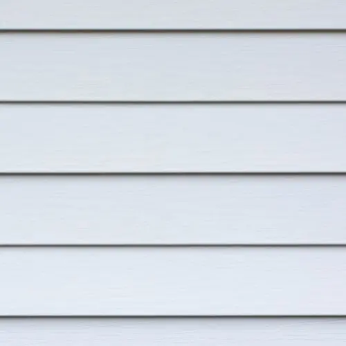 Vinyl and Painted Siding