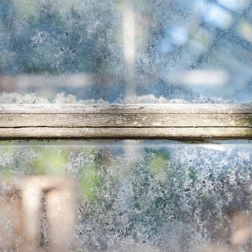 Contaminated Panes