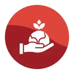 Environmental Responsibility in the Baton Rouge Area