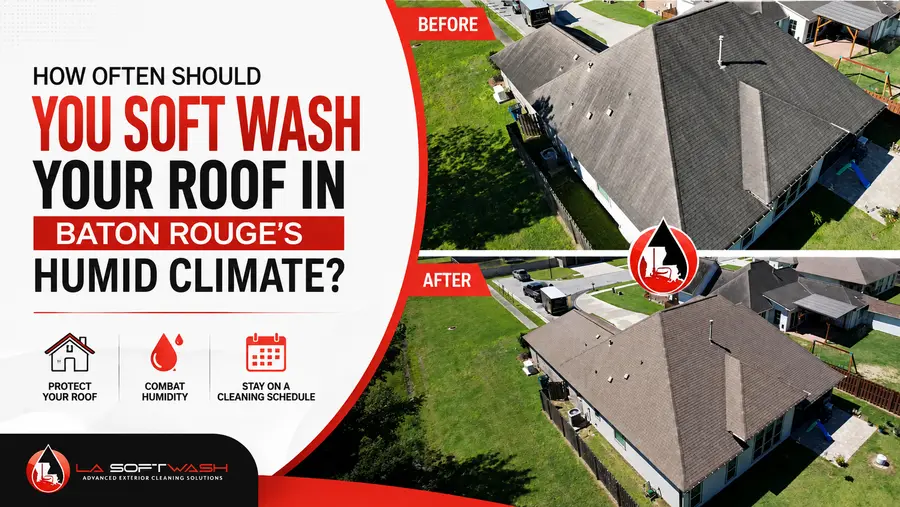 Before-and-after roof soft washing in Baton Rouge showing a cleaner asphalt shingle roof in Louisiana's humid climate
