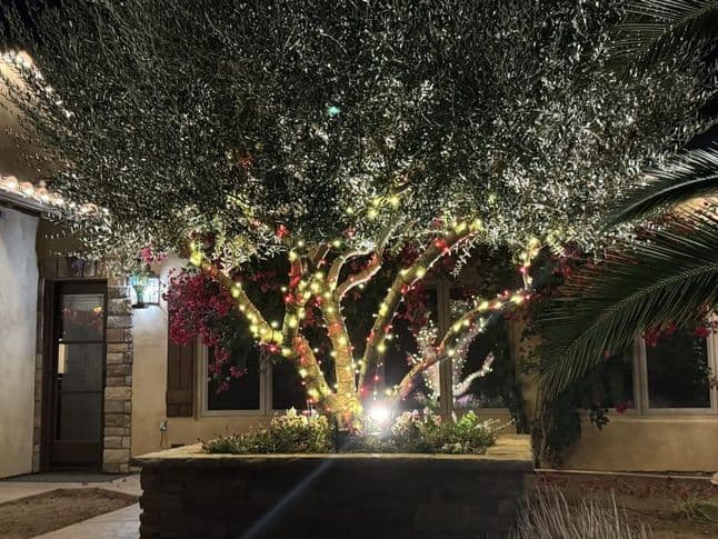 Christmas Light Installation in Fresno CA